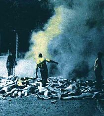 Watch Sklaven der Gaskammer - Das jüdische Sonderkommando in Auschwitz