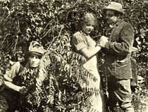 Watch Love in the Hills (Short 1911)