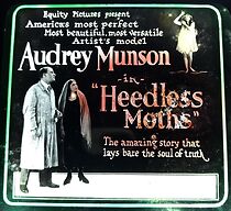 Watch Heedless Moths