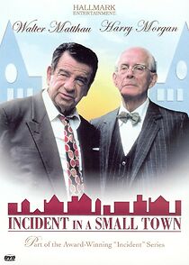 Watch Incident in a Small Town