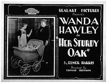 Watch Her Sturdy Oak