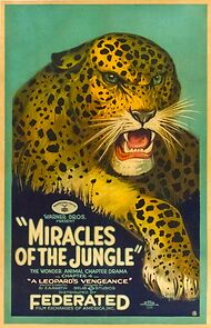 Watch Miracles of the Jungle