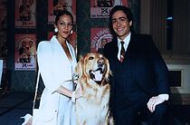 Watch Bliss by Installments