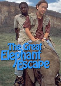 Watch The Great Elephant Escape