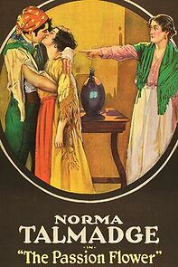 Watch Passion Flower