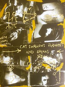 Watch Cat Swallows Parakeet and Speaks!