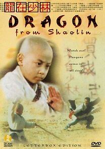 Watch Dragon from Shaolin