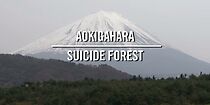 Watch Aokigahara: Suicide Forest