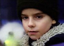 Watch The Little Cat