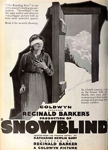 Watch Snowblind
