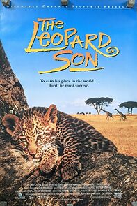 Watch The Leopard Son