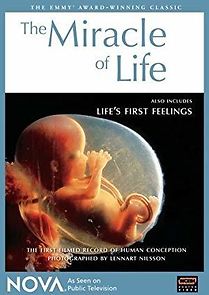 Watch The Miracle of Life