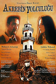 Watch A Scorpion's Journey