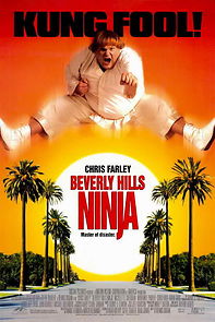 Watch Beverly Hills Ninja