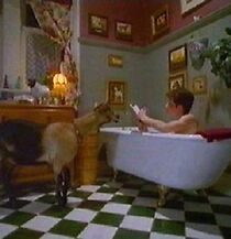 Watch Dog's Best Friend