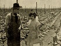 Watch The Rose of Kentucky (Short 1911)