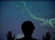 Watch The Age of Aquarium (Short 2006)