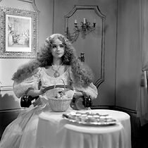 Watch Strom pohádek: Rozhodni obraze krásný (TV Short 1988)