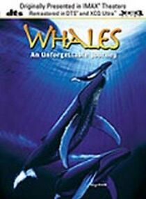 Watch Whales: An Unforgettable Journey (Short 1997)
