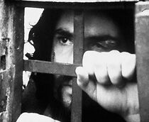 Watch Michele alla ricerca della felicità