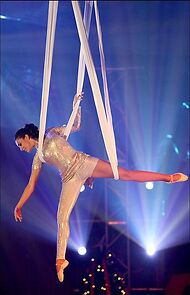 Watch Circo de Natal RTP (TV Special 2011)