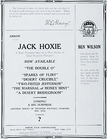 Watch The Desert Bridegroom