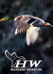 Watch Heartland Waterfowl