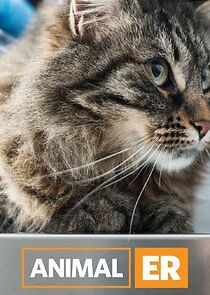 Watch Animal ER