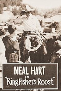 Watch KingFisher's Roost