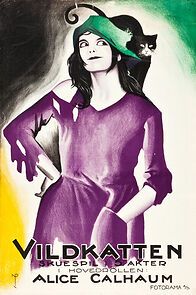 Watch Little Wildcat