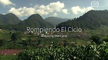 Watch Breaking the Cycle