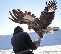 Watch Into Ardak's House: The Eagle Hunter