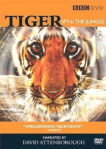 Watch Tiger - Spy in the Jungle