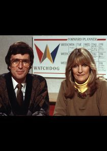 Watch Watchdog Daily