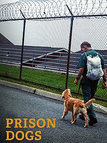Watch Prison Dogs