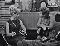 Watch Um Melro Branco