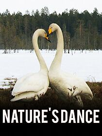 Watch Nature's Dance