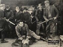 Watch Strength of the Pines