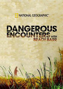 Watch Dangerous Encounters