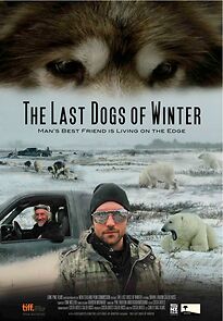 Watch The Last Dogs of Winter