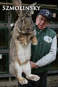 Watch Szmolinsky (Short 2007)