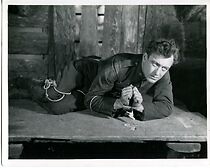 Watch The Trail of the Wolf (Short 1922)