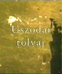 Watch Uszodai tolvaj (Short 2007)
