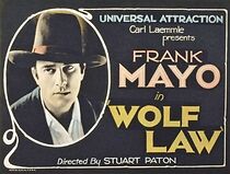 Watch Wolf Law