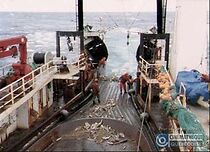 Watch 10 jours... 48 heures