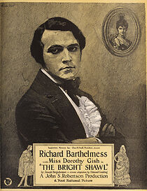 Watch The Bright Shawl