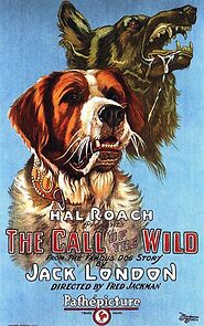 Watch Call of the Wild