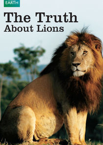 Watch The Truth About Lions