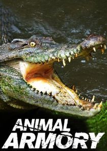 Watch Animal Armory