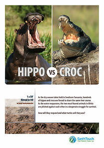 Watch Hippo vs Croc